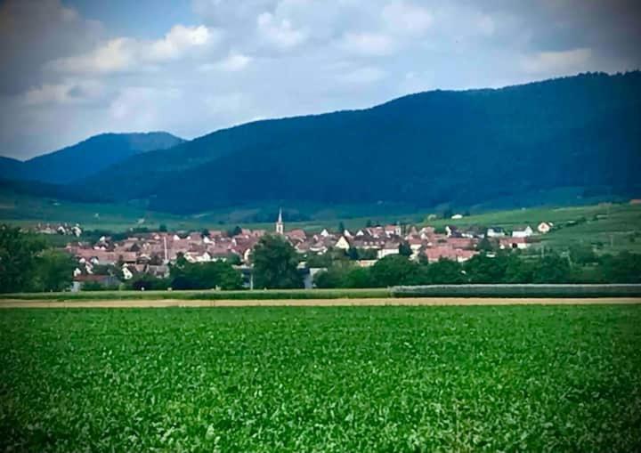 Le Clocher " Sous Les Combles" Parking Gratuit Бебленхайм Экстерьер фото